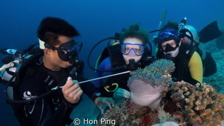 Finding Nemo @ Mataking Island, Malaysia. by Hon Ping 
