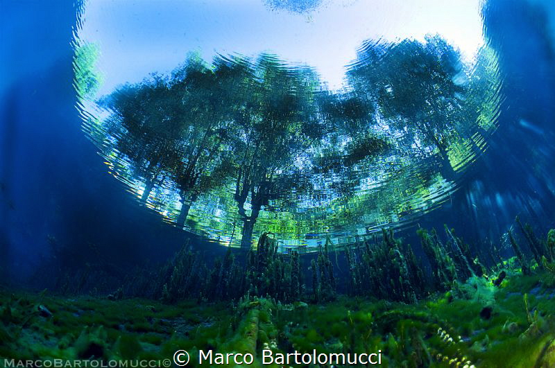 Posta Fibreno Lake - Itally by Marco Bartolomucci 