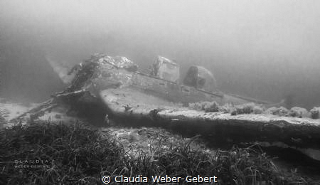 stuka bomber wreck in Croatia
JU 87 R-2 by Claudia Weber-Gebert 