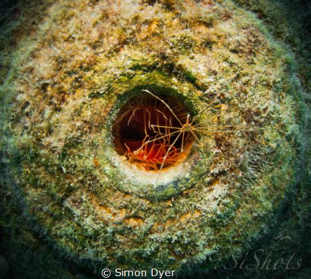 As he Crosses the fire clam he went in almost lost his li... by Simon Dyer 
