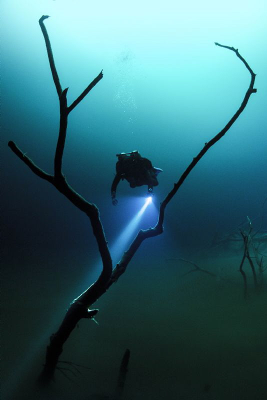 Diver explores Angelita Cenote. by Spencer Burrows 