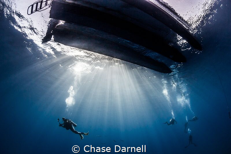 "Light Show" 
Safety stop greatness to finish off the dive. by Chase Darnell 