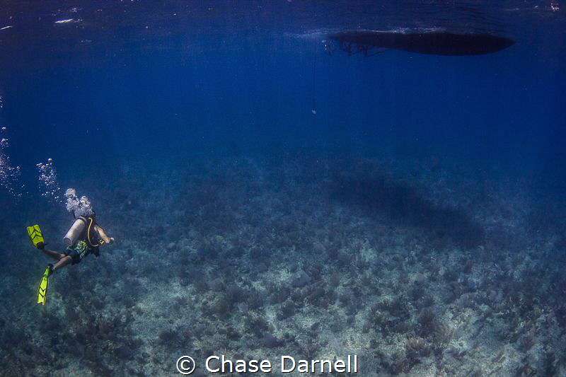 "Clarity"
Some days the visibility here in Cayman really... by Chase Darnell 