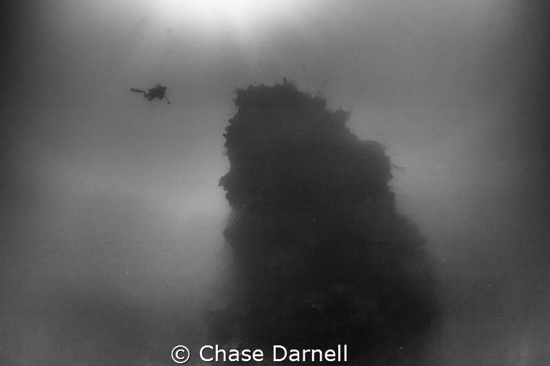 "Babylon"
This massive deep sea pinnacle is without a do... by Chase Darnell 