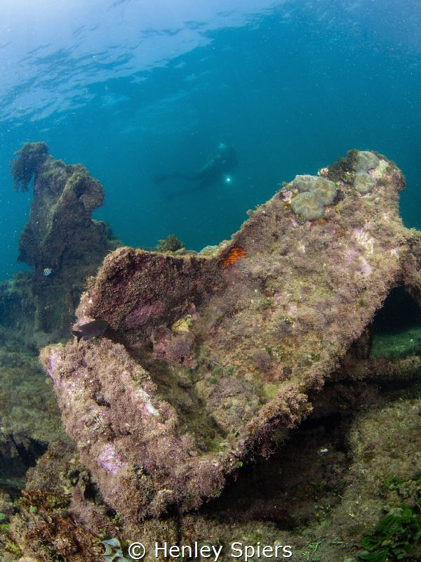 Discovering the wreckage of an old WWII American fighter ... by Henley Spiers 