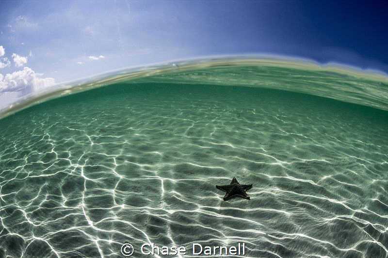 A super clear day at Starfish Point. by Chase Darnell 