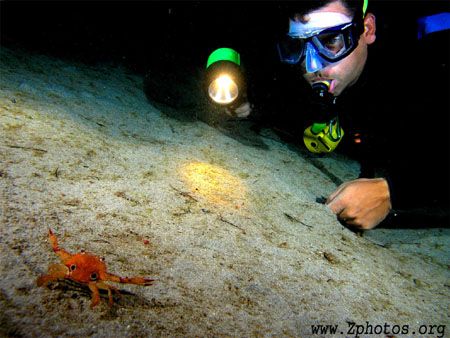 My friend Tony taking on this ocellate swimming crab. by Zaid Fadul 