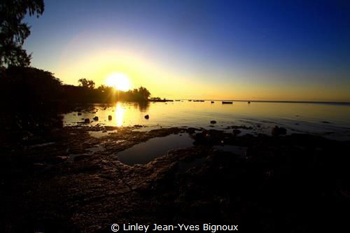 Roches Noires inlet/ East Coast Mauritius
Linley Jean-Yv... by Linley Jean-Yves Bignoux 