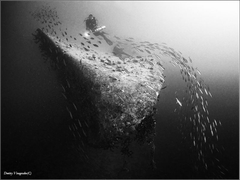 El Mina
Red Sea. Hurgada. Harbour wreck. 30 meters deep. by Dmitry Vinogradov 