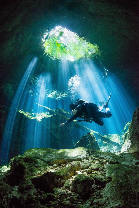 Diver in the Light - Mexico by Spencer Burrows 