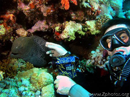 Paul with an undulating eel =) He was smiling big time be... by Zaid Fadul 