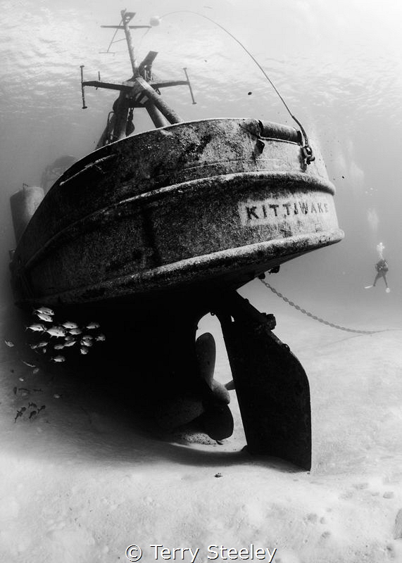 Diver looks in awe of the spectacular USS Kittiwake.
— S... by Terry Steeley 