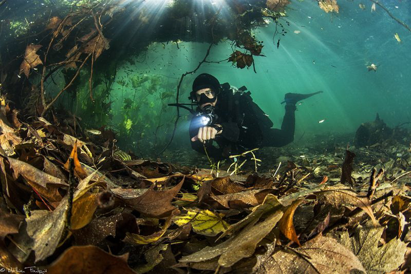 autumn freshwater diver (selfie with remote control), Lez... by Mathieu Foulquié 