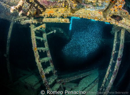 'Inside The Debbie' The Debbie shipwreck, Blue Reef, Aruba by Romeo Penacino 