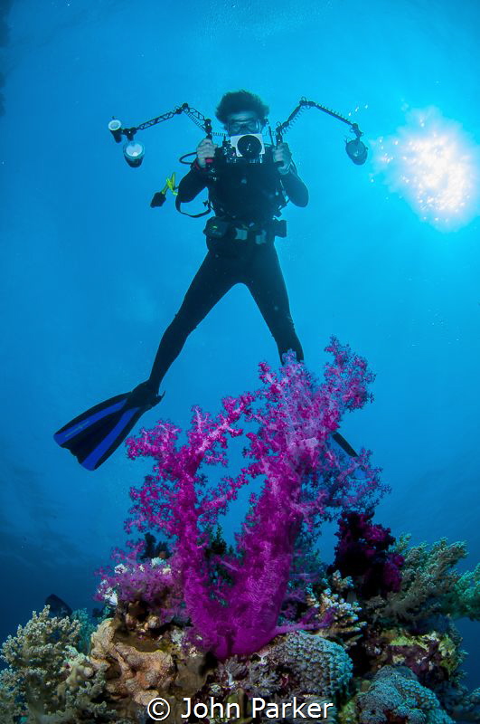 Soft Coral and Photographer by John Parker 