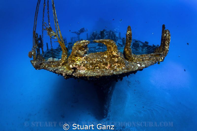 The Sea Tiger by Stuart Ganz 