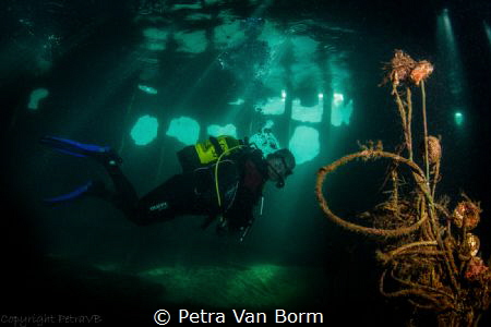 Diver inside the Temple Hall wreck by Petra Van Borm 