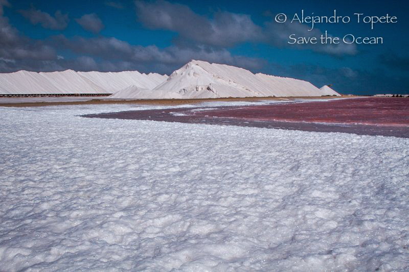 Pink Salt mine, Bonaire by Alejandro Topete 