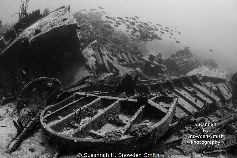 Oro Verde shipwreck
Grand Cayman
Canon 40D in Sea & Sea... by Susannah H. Snowden-Smith 