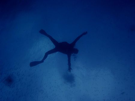 Sky Diving by Ryan Stafford 