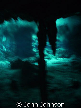 this is in the cenotes in mexico , the photo was taken wi... by John Johnson 