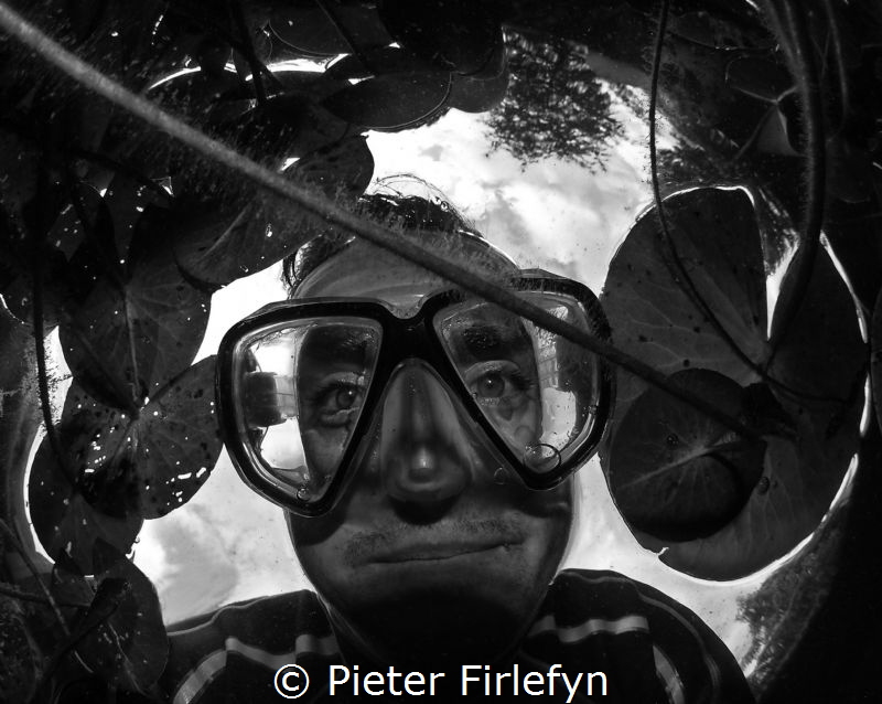 selfie in the pond by Pieter Firlefyn 