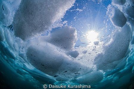 Drift ice diving in Shiretoko,Hokkaido,Japan. by Daisuke Kurashima 