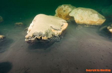 Poland, small lake in Cracow ZAKRZOWEK
"Stone shell" by Olgierd Graca 
