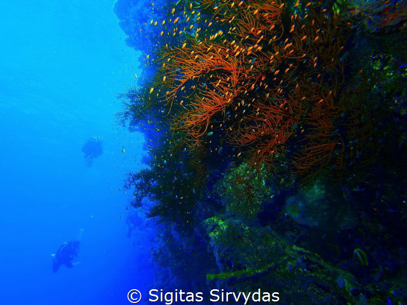 Drop Off diving by Sigitas Sirvydas 