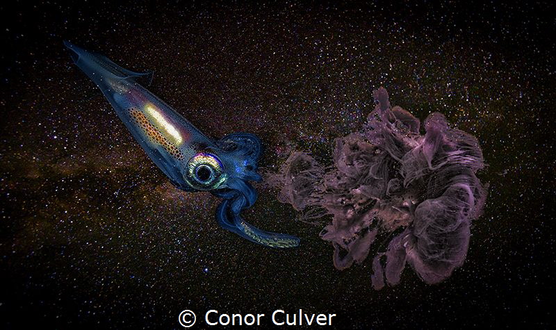 "Inking Through the Universe" part of my Underwater Surre... by Conor Culver 