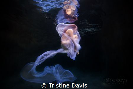 Fine art underwater photography by Tristine Davis 