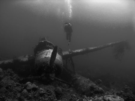 Jake's Seaplane Wreck in Palau with my lovely wifey float... by Alex Tattersall 