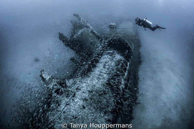 'Capturing History' - An underwater photographer lines up... by Tanya Houppermans 