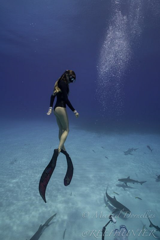 Competitive free diver Ashleigh by Michael Dornellas 