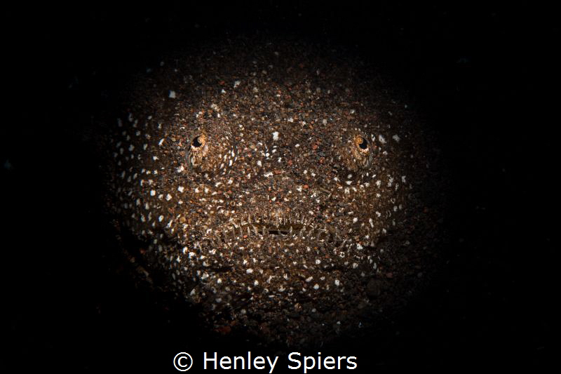The Stargazer by Henley Spiers 