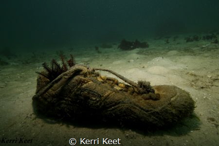 Artificial Reef made from someone's lost shoe! by Kerri Keet 