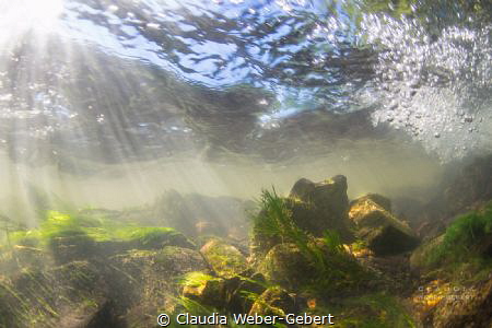 freshwater dream - Nims river, Germany by Claudia Weber-Gebert 