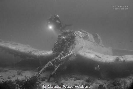 Stuka bomber wreck in Croatia by Claudia Weber-Gebert 