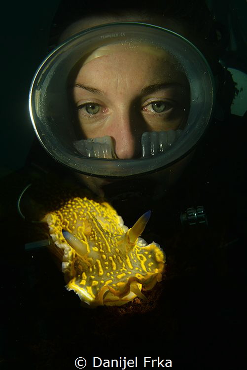 Nudibranch and diver by Danijel Frka 