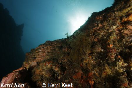 Reef of Aliwal Shoal with sunlight in the background by Kerri Keet 