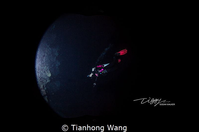 FLY TO MOON
 by Tianhong Wang 