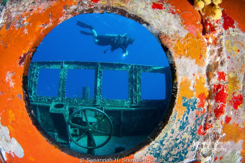 "Porthole Frame"
A diver is framed through a porthole on... by Susannah H. Snowden-Smith 