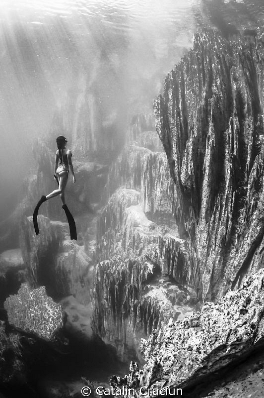 Freediving in the amazing Barracuda Lake , Coron , Philip... by Catalin Craciun 