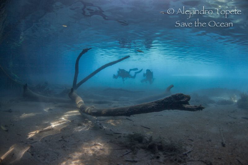 Divers in river, Las Estacas Mexico by Alejandro Topete 