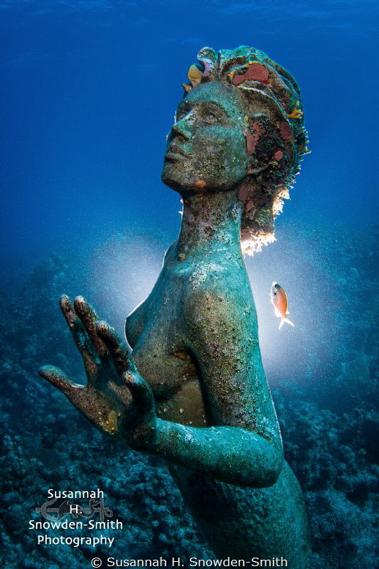 Mermaid statue at Sunset House, Grand Cayman

I used a ... by Susannah H. Snowden-Smith 