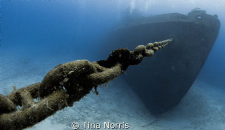 Kittiwake Shipwreck by Tina Norris 