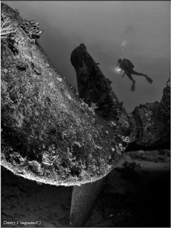 Abu Nuhas reef. Kimon-M wreck. by Dmitry Vinogradov 
