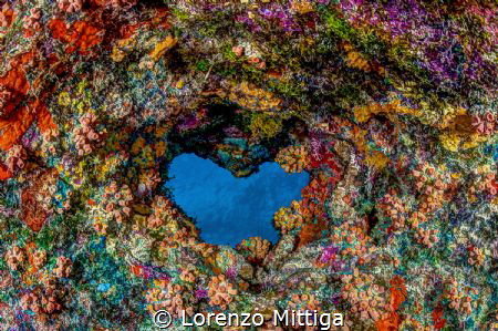 A heart-shaped hole in a coral cave ceiling, Bonaire Island. by Lorenzo Mittiga 