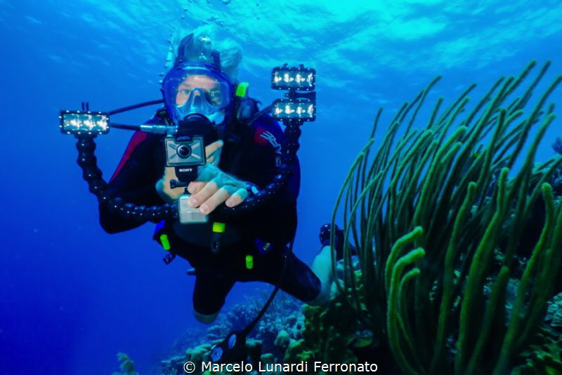 Diver friend by Marcelo Lunardi Ferronato 