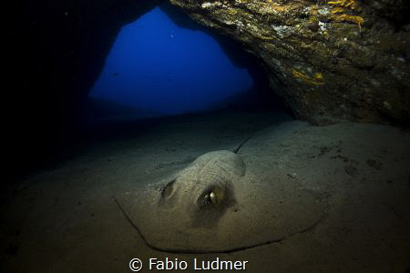 I entered this cave in Fernando de Noronha, Brazil, and f... by Fabio Ludmer 